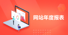 政府网站年度报表
