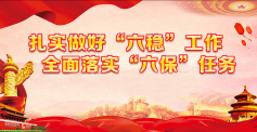 六稳六保专栏
