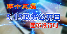5.15政务公开日