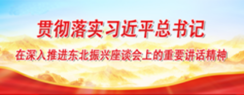 贯彻落实习近平总书记在深入推进东北振兴座谈会上的重要讲话精神